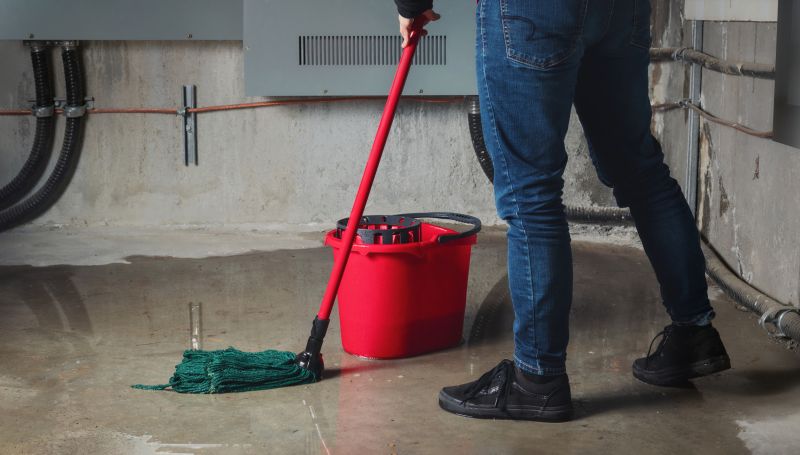 Basement Cleaning Service in Puyallup, WA