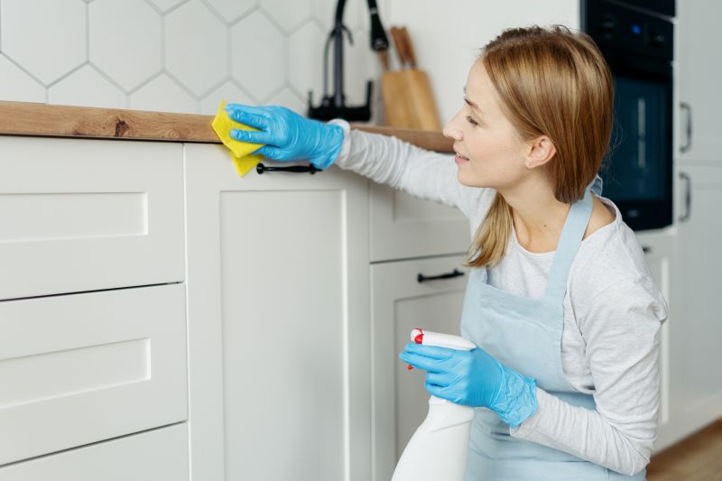 Kitchen Cleaning in Frisco, TX
