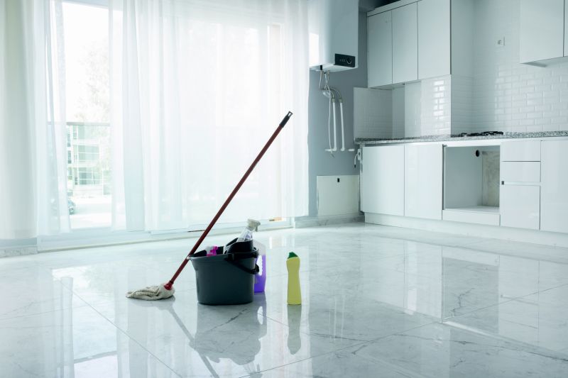 Kitchen Cleaning in Redmond, WA