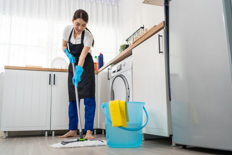 Kitchen Cleaning in Renton, WA