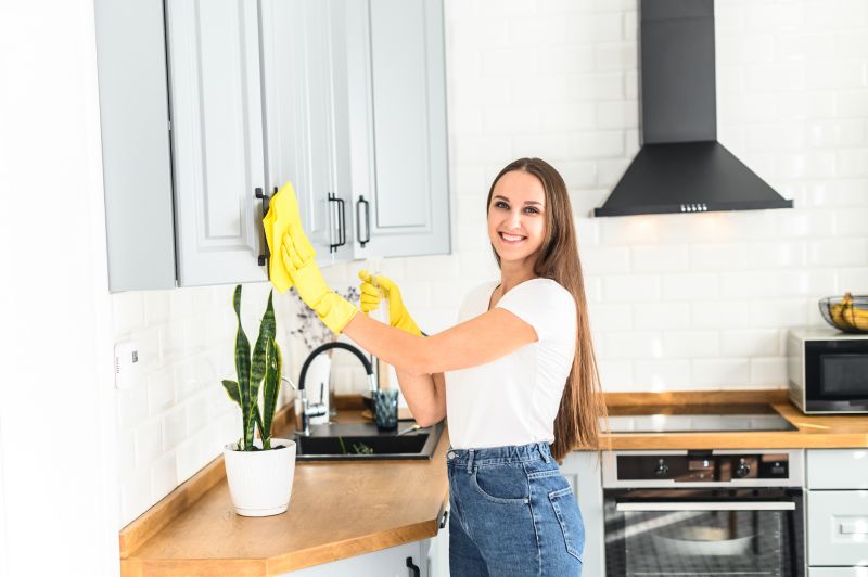 Kitchen Cleaning Service in Renton, WA
