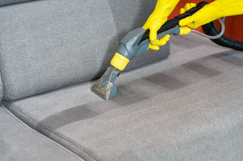 Loveseat Cleaning in Sanford, FL
