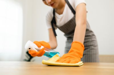 Maid Service in Sanford, FL